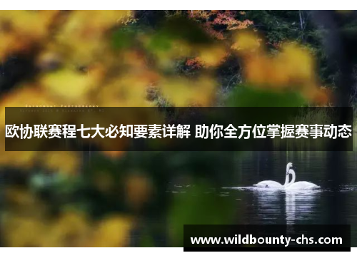 欧协联赛程七大必知要素详解 助你全方位掌握赛事动态 欧协联赛程七大必知要素详解 助你全方位掌握赛事动态