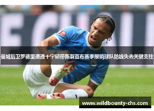 曼城后卫罗德里遭遇十字韧带撕裂宣布赛季报销球队防线失去关键支柱 曼城后卫罗德里遭遇十字韧带撕裂宣布赛季报销球队防线失去关键支柱